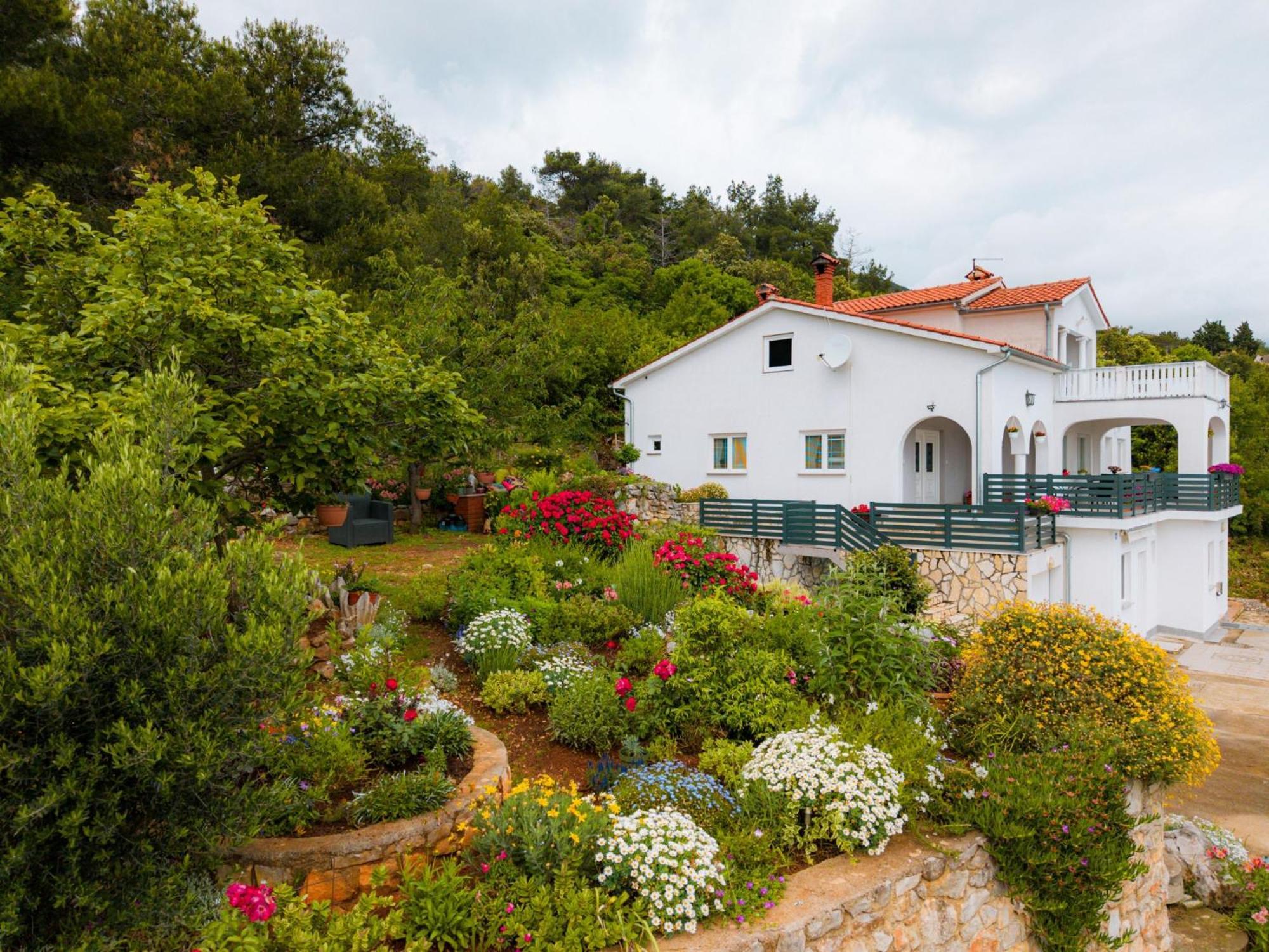 Villa Paradiso In Plomin - Istrien Exterior photo